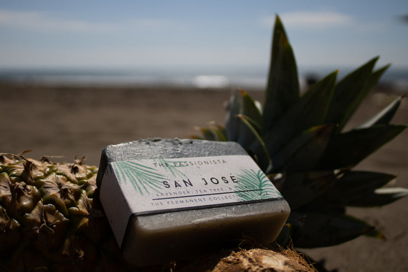 San Jose (Day & Nite Face Wash)